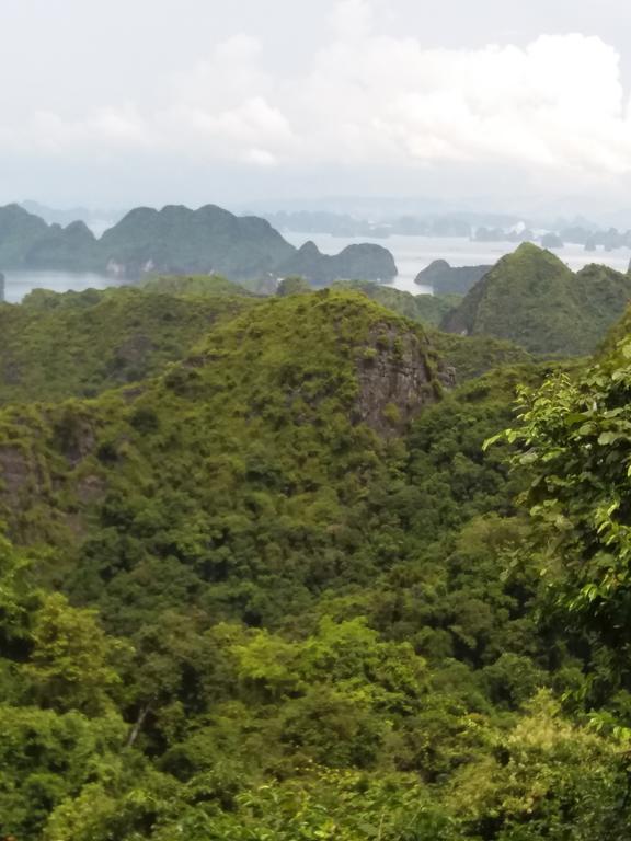 Duc Tuan Hotel Hai Phong Buitenkant foto
